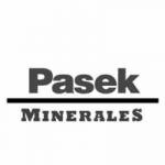 PASEK MINERALES SA logo