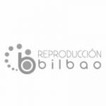 GINEGORAMA Bilbao logo