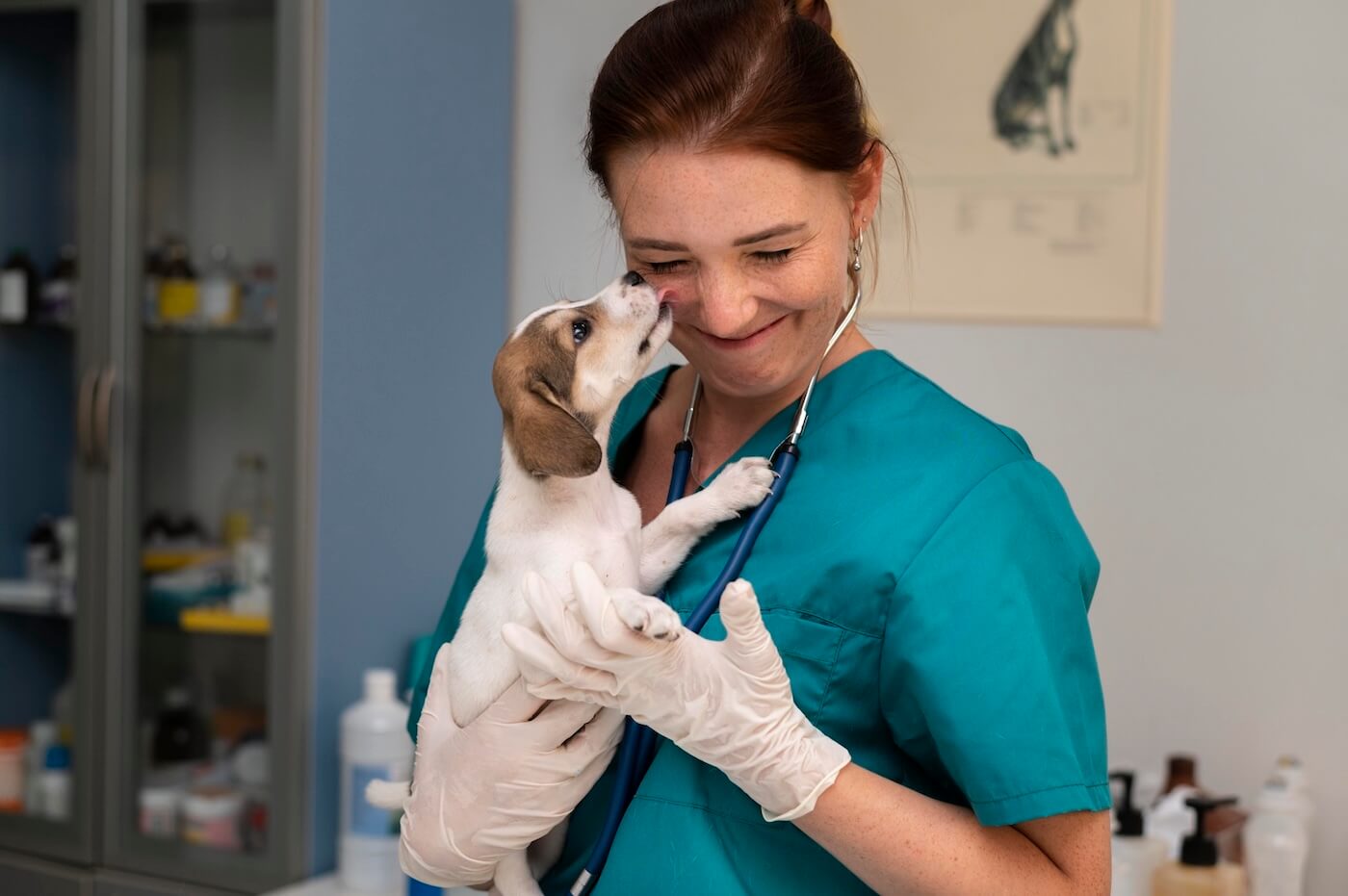Cómo financiar el equipamiento para una clínica veterinaria